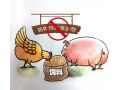 飼料“禁抗”新政出臺，行業(yè)準(zhǔn)備好了嗎？